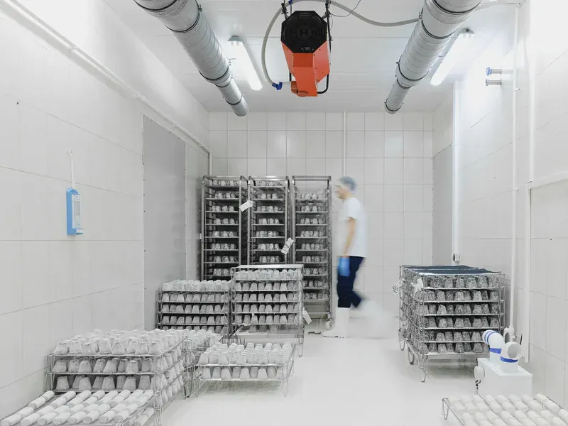 Temperature-controlled packaging and storage illustrating environmental safeguards for sensitive semiconductor shipments